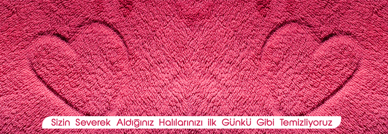mamak hali yikama ankara